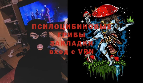 гашик Абаза